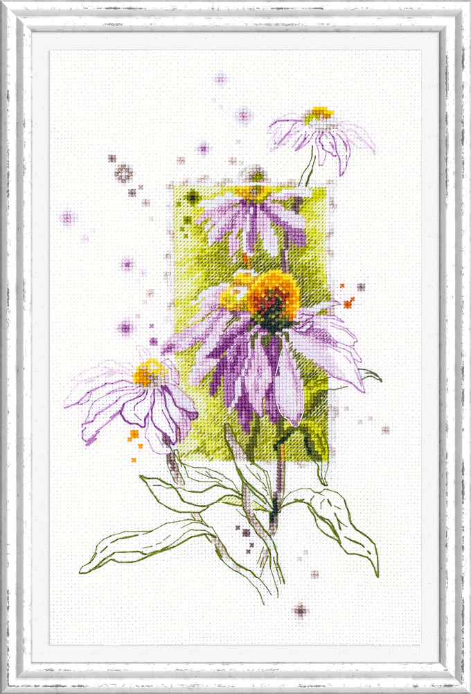 Echinacea