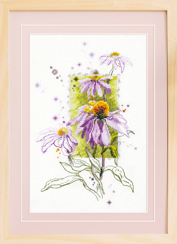 Echinacea