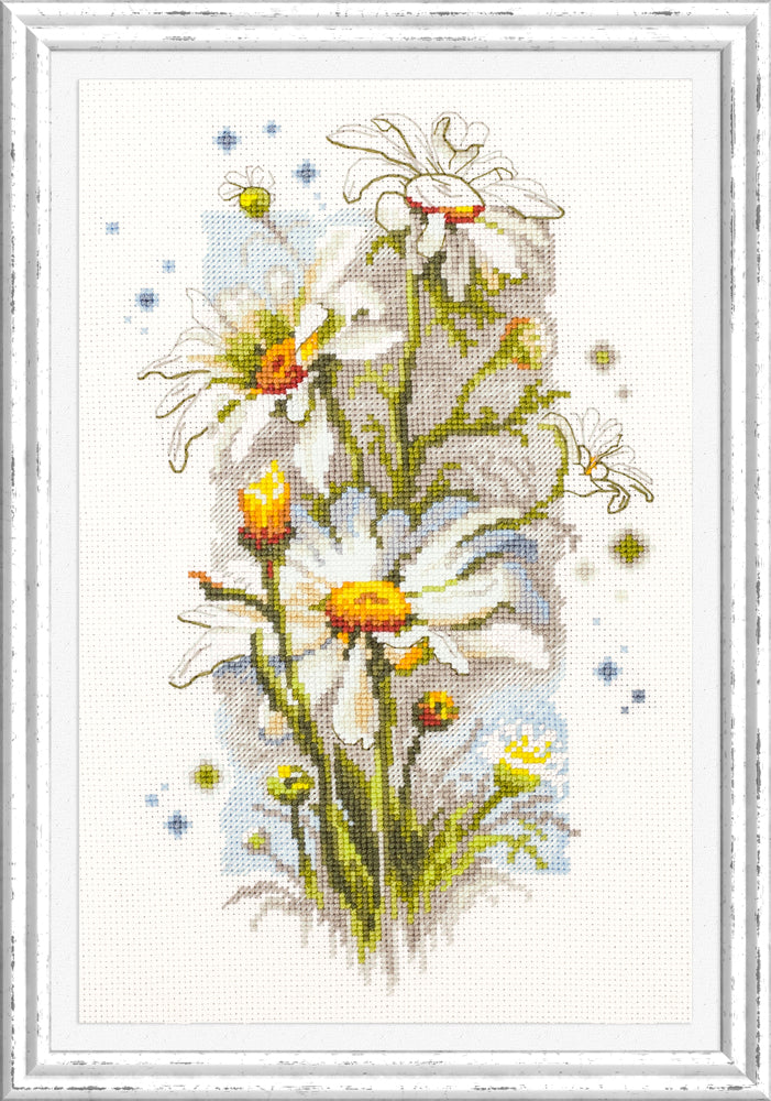 White Daisies