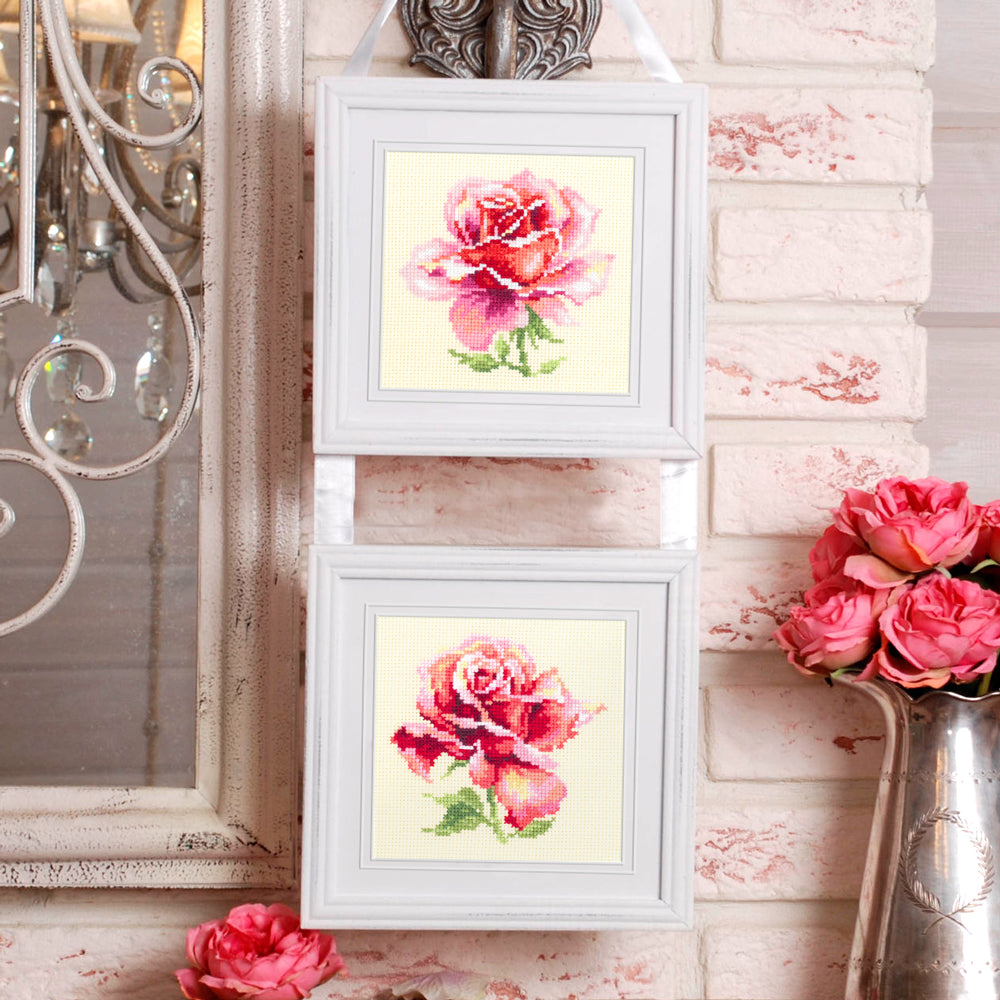 Pink Rose
