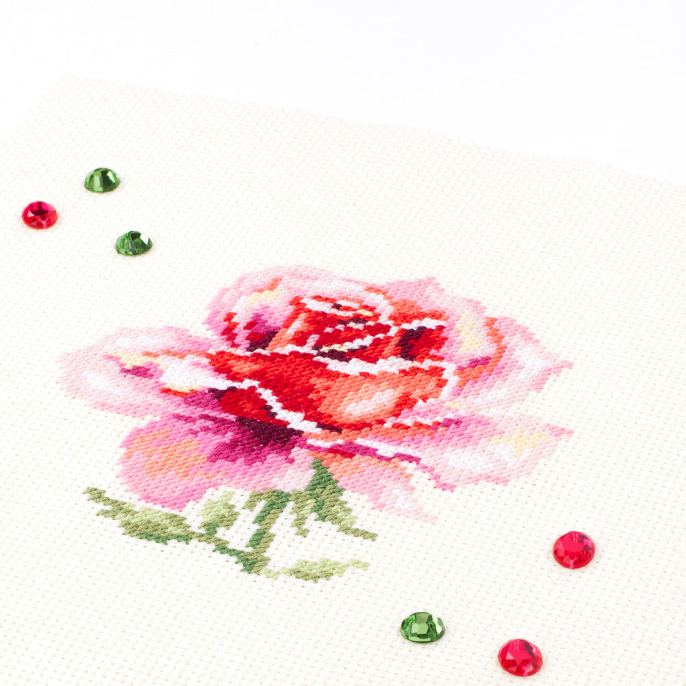 Pink Rose