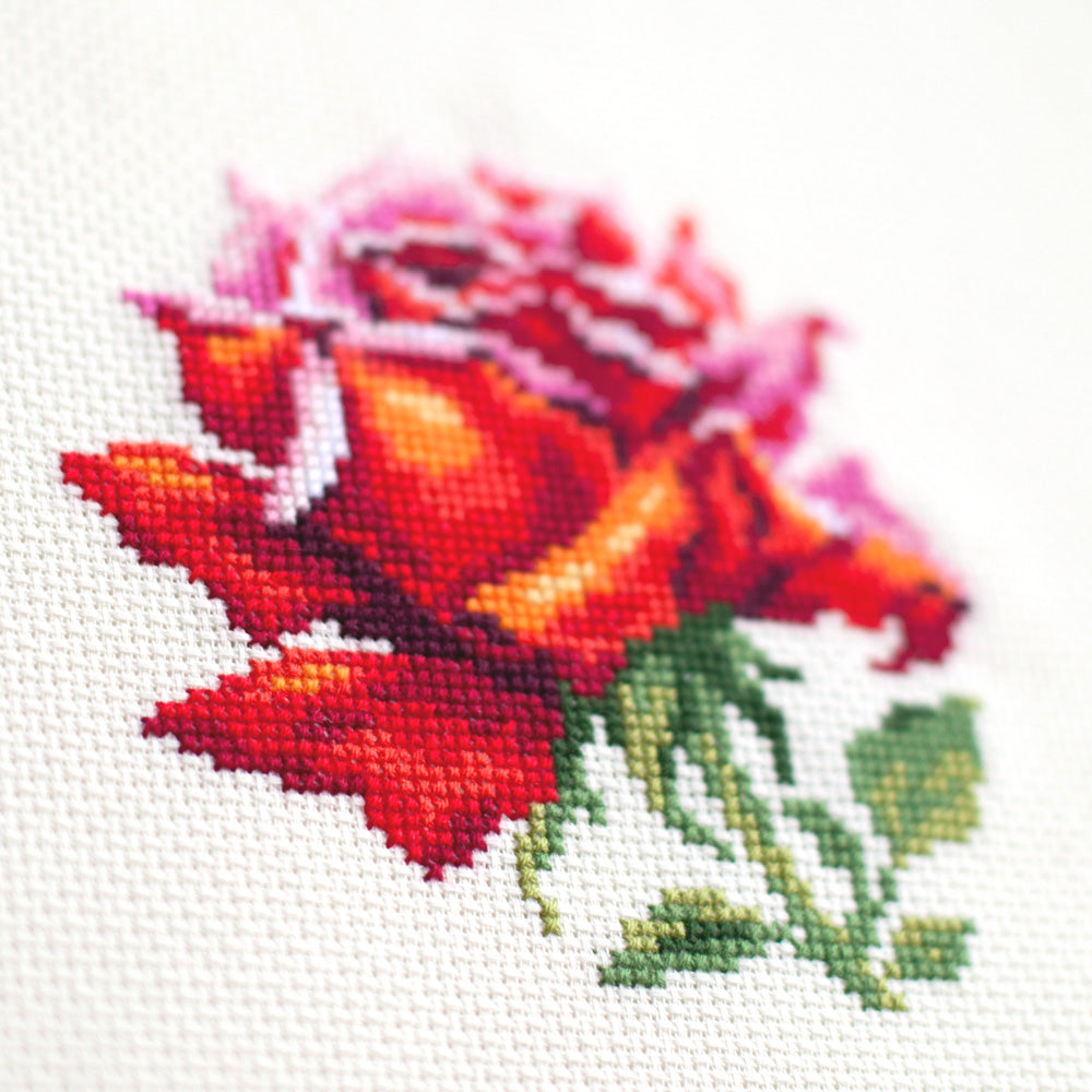 Red Rose