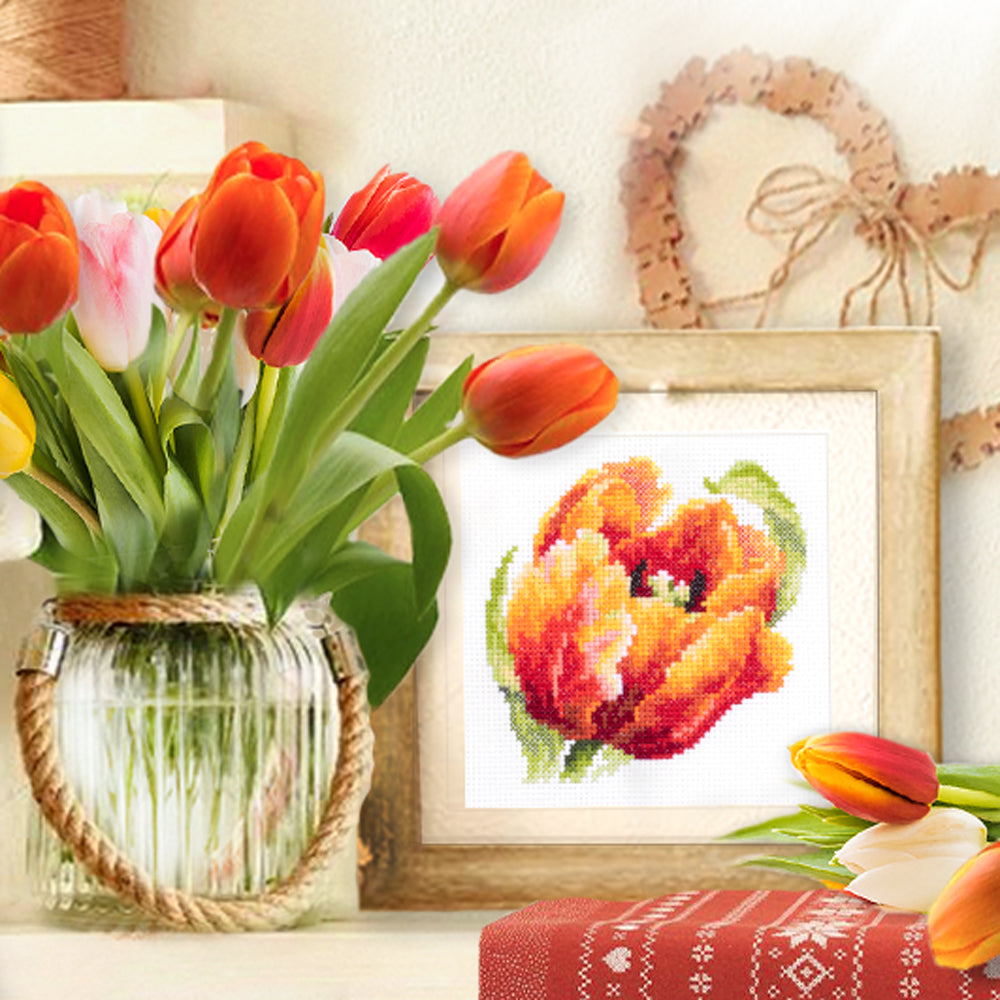 Red Tulip