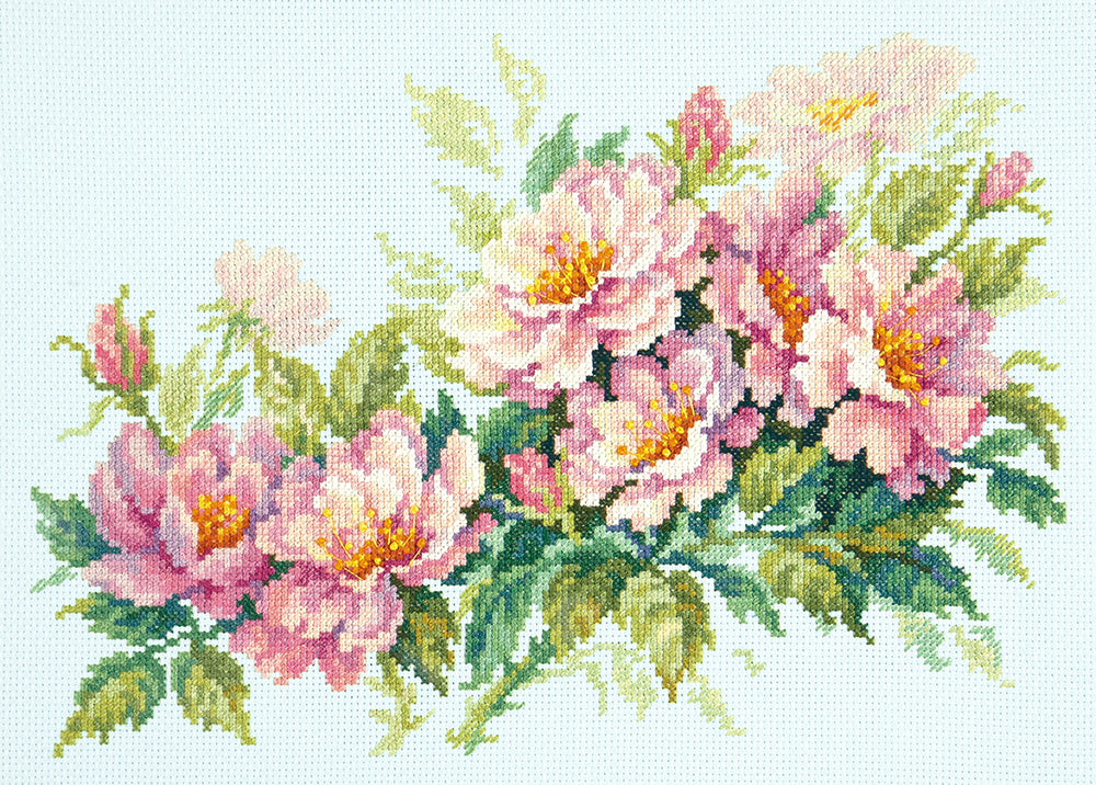Dog-rose Flowers