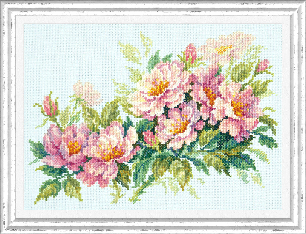 Dog-rose Flowers