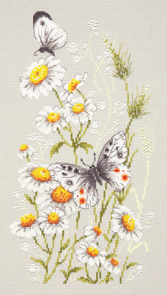 Summer Glade