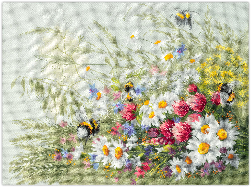 Daises and Clover