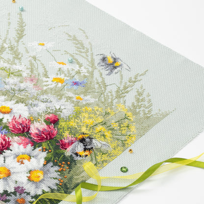 Daises and Clover