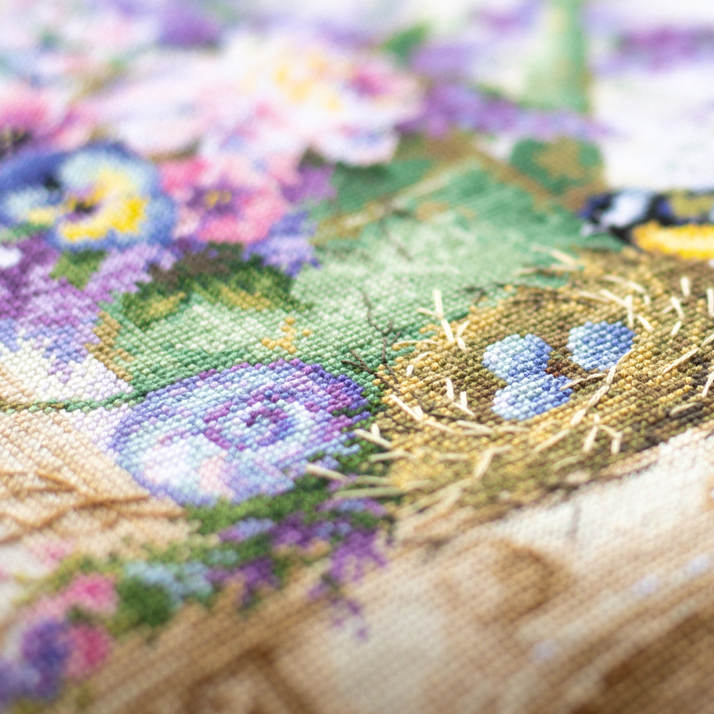 The Scent of Provence