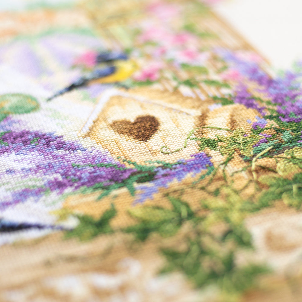 The Scent of Provence