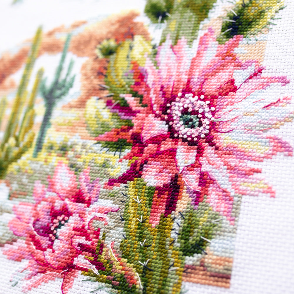 Wild West Flowers