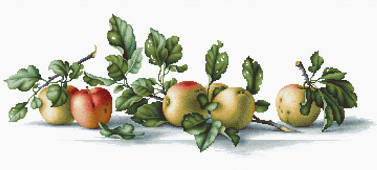 Apples