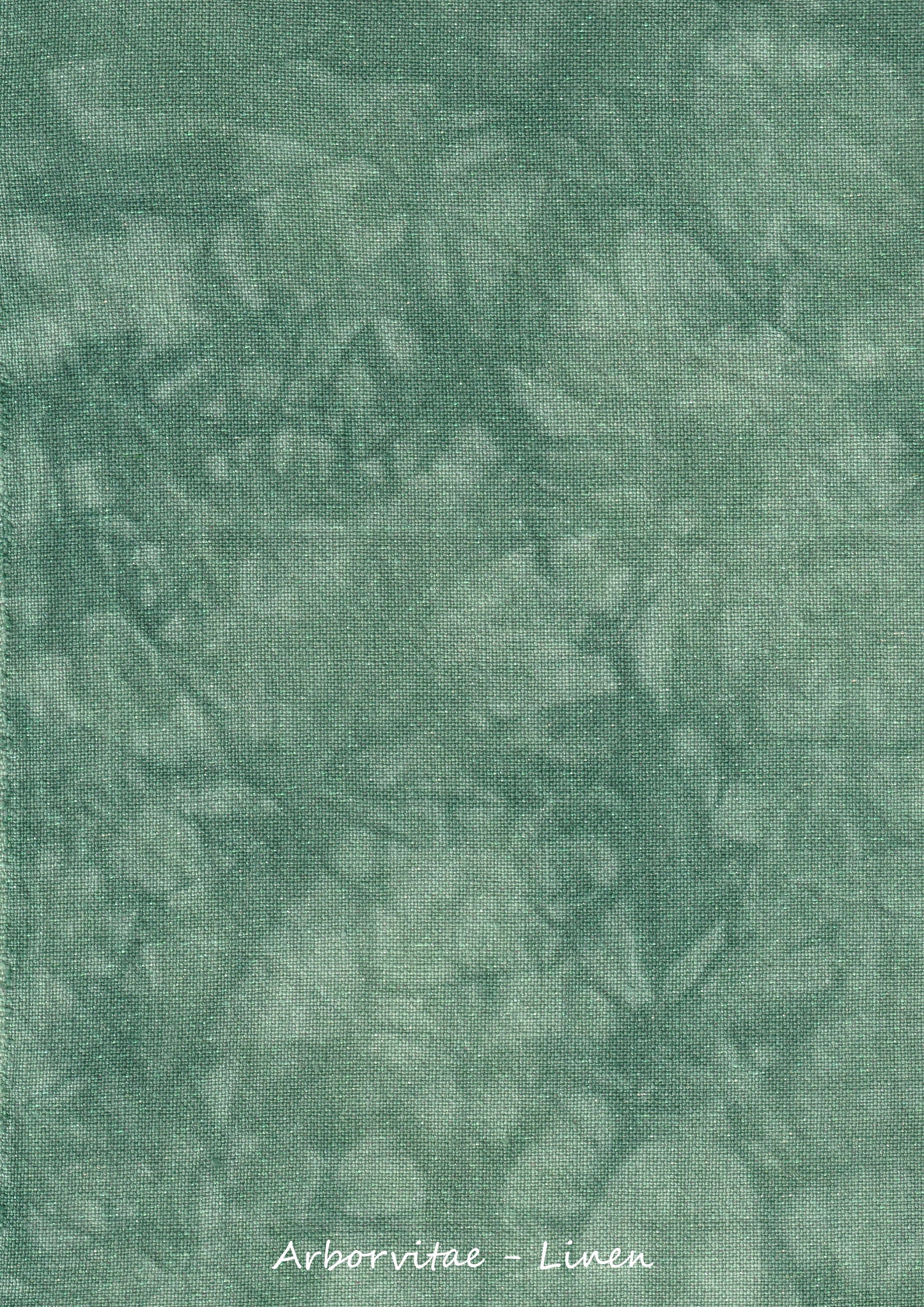 Arborvitae