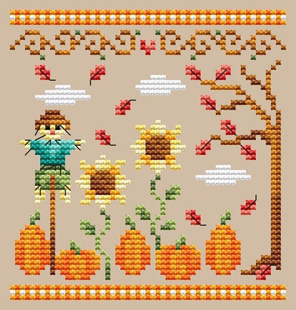Pumpkin Patch