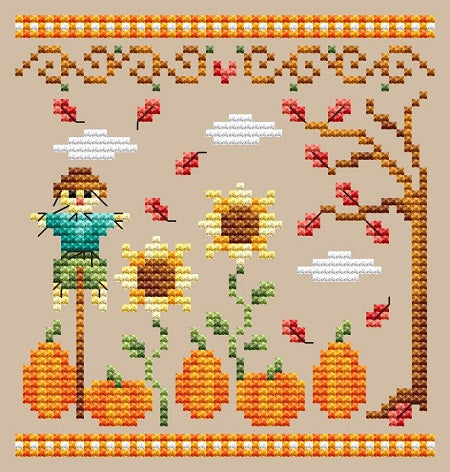 Pumpkin Patch