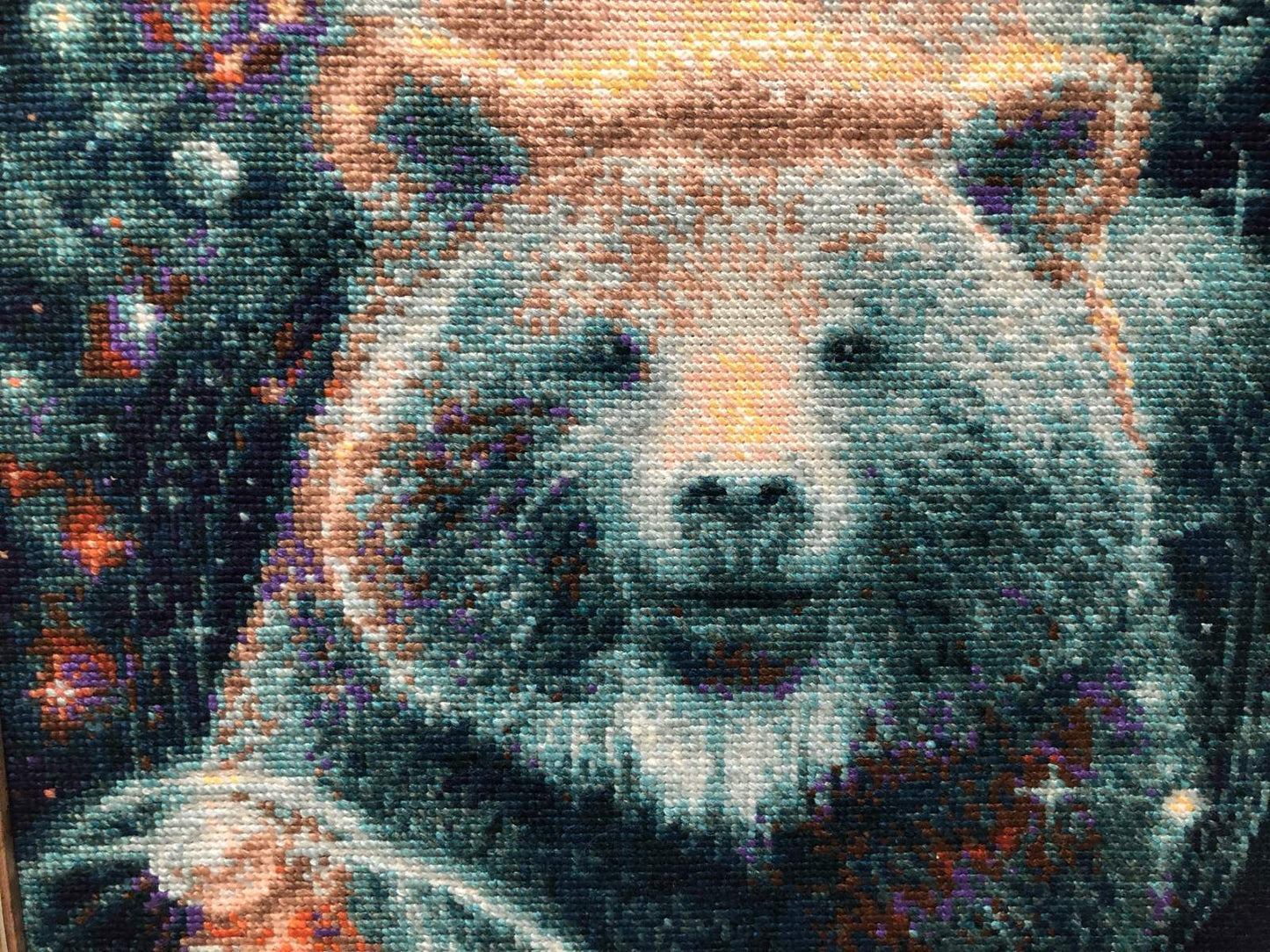 The Great Bear