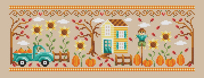Pumpkin Patch