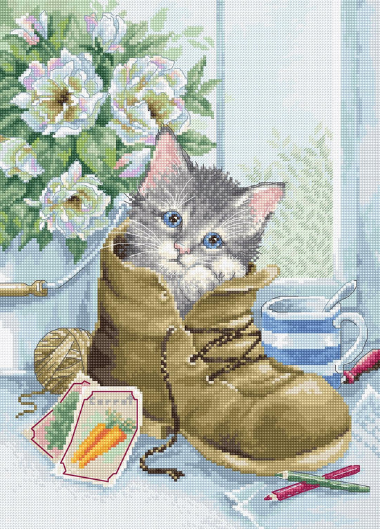 Cute Kitten