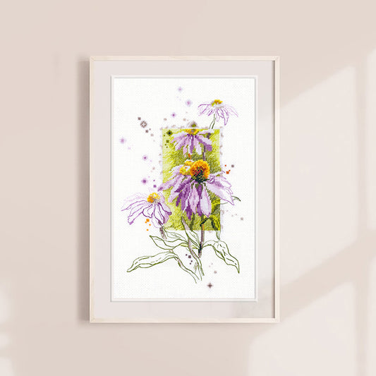 Echinacea