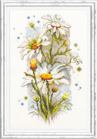 White Daisies