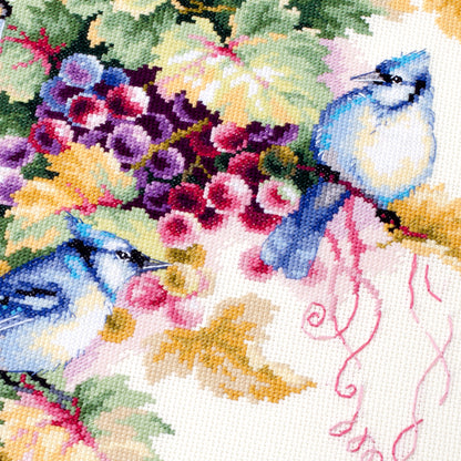 Blue Jay and Grapes
