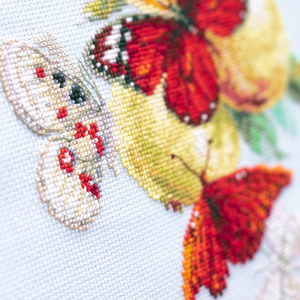 Butterflies and Pears