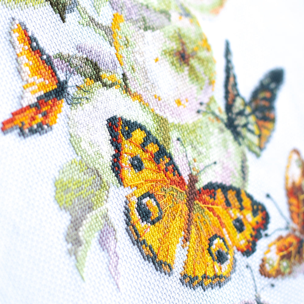 Butterflies and Apples