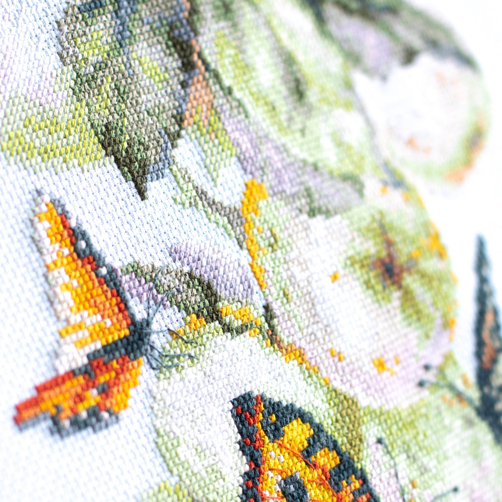 Butterflies and Apples