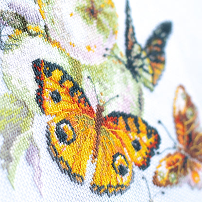 Butterflies and Apples