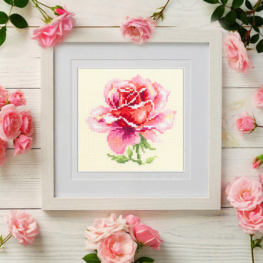 Pink Rose