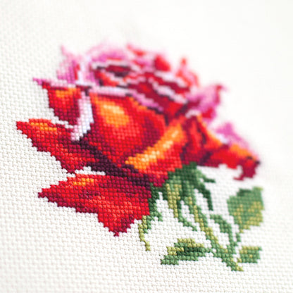 Red Rose