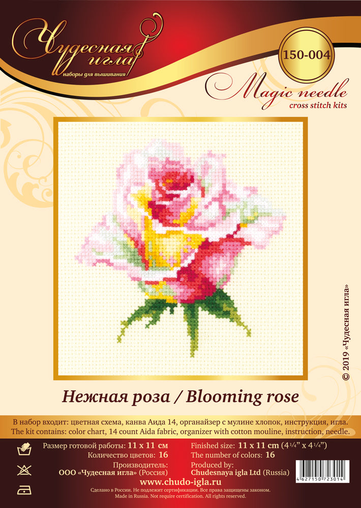 Blooming Rose