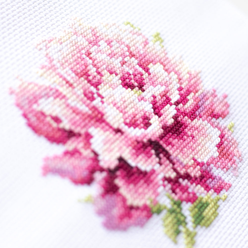 Peony