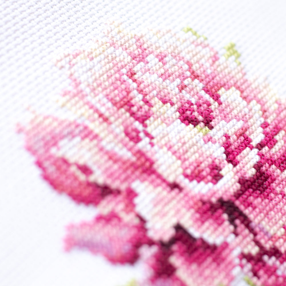 Peony