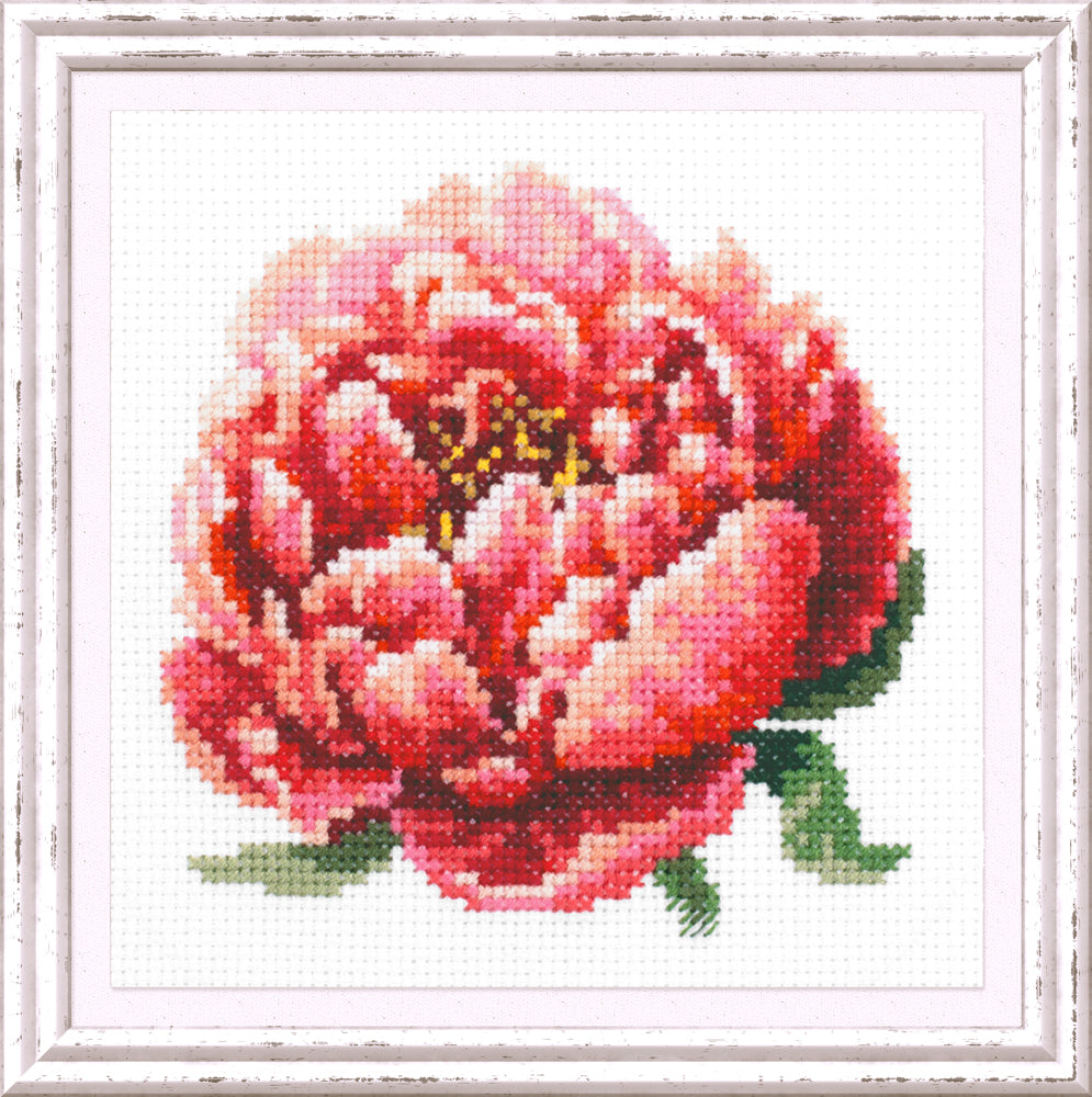 Red Peony