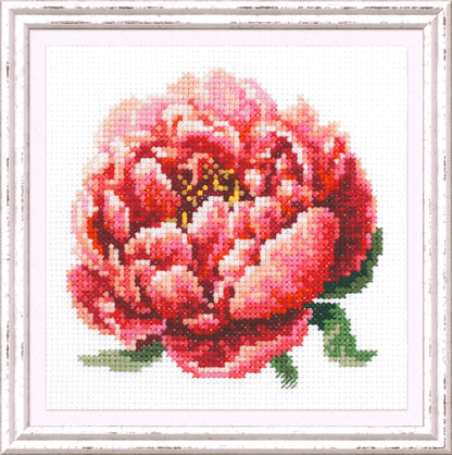 Red Peony