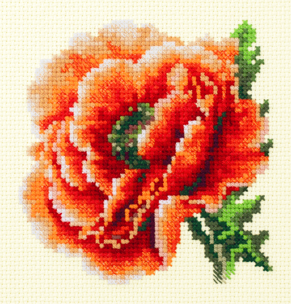 Poppy