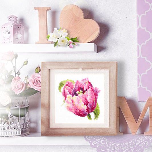 Pink Tulip