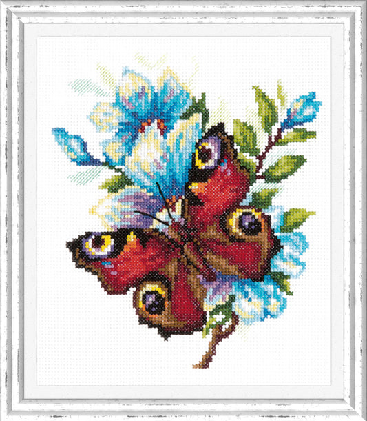Peacock Butterfly