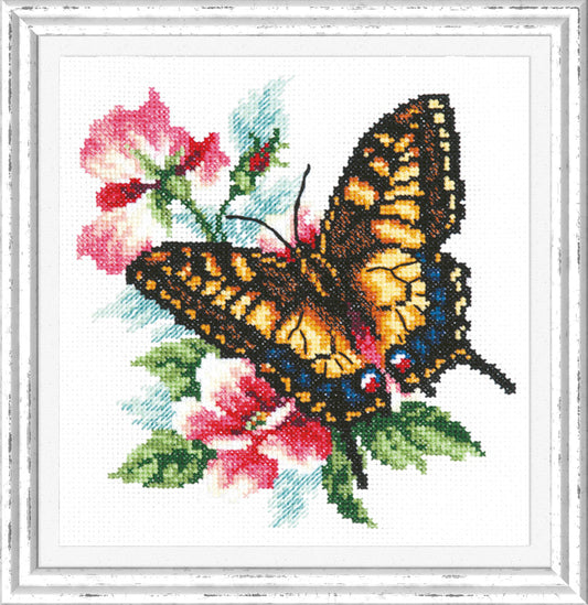 Swallowtail Butterfly