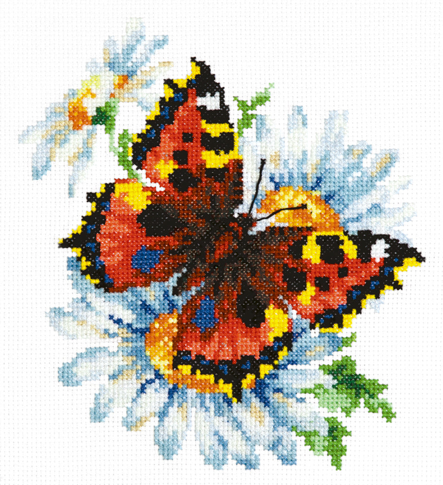 Butterfly and Daisies