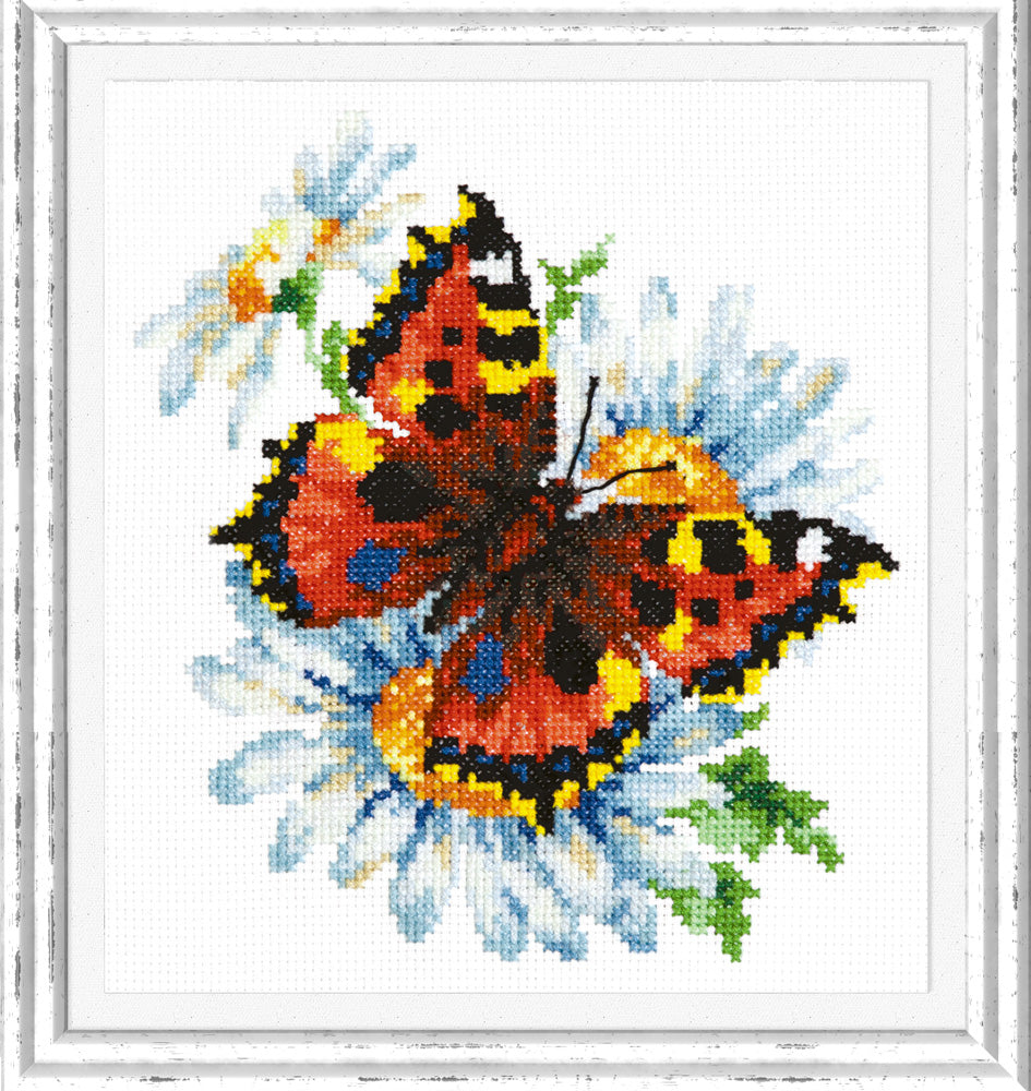 Butterfly and Daisies