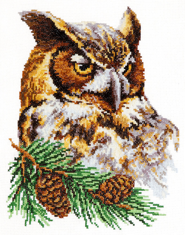 Owl