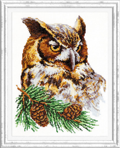 Owl